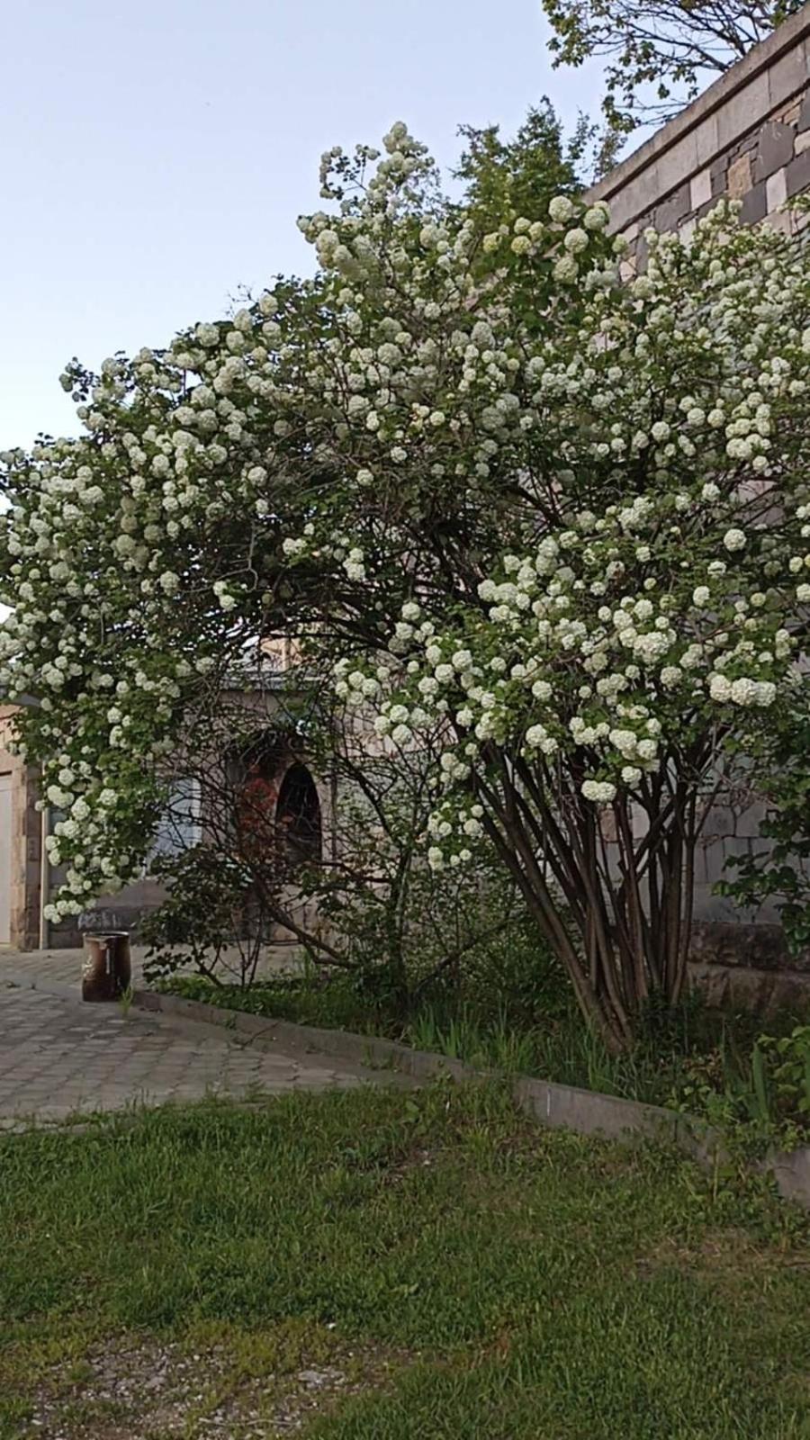 Luse Guest House Idschewan Exterior foto