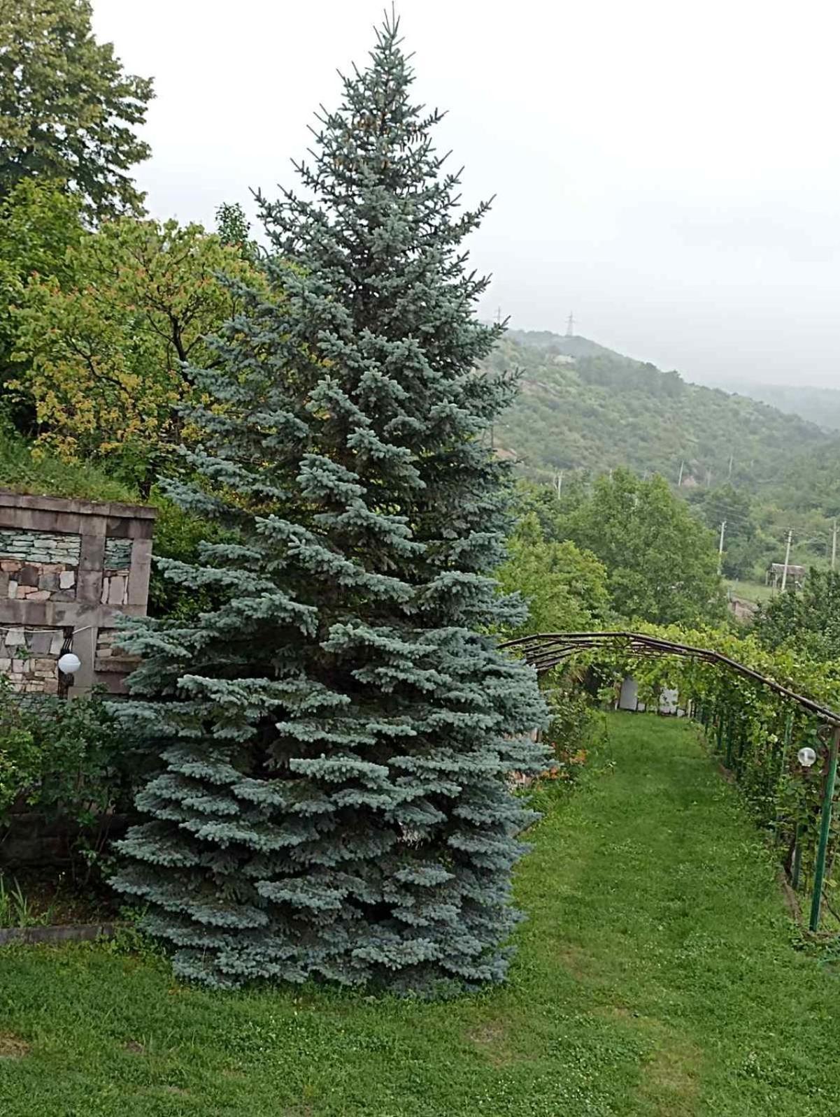 Luse Guest House Idschewan Exterior foto